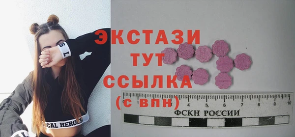 индика Горняк