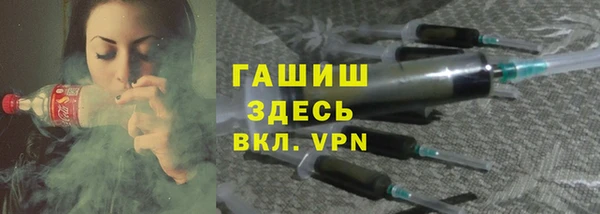 индика Горняк