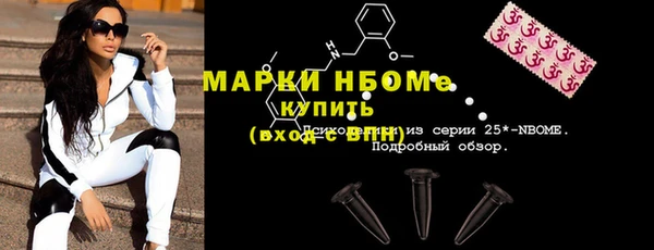 индика Горняк