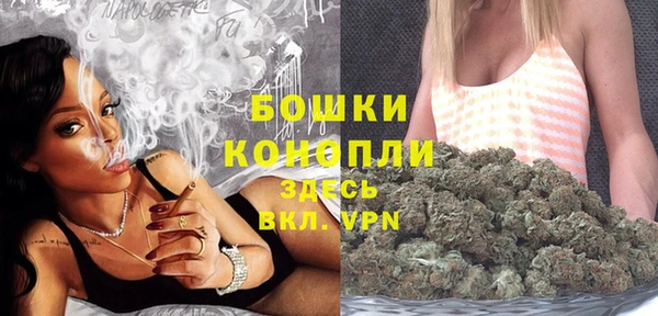 индика Горняк