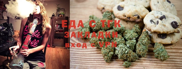 индика Горняк