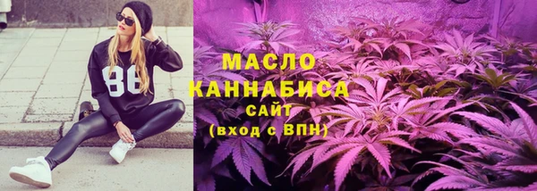 индика Горняк