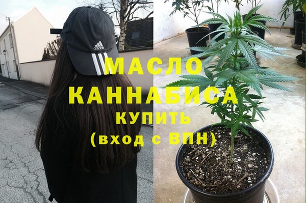 индика Горняк