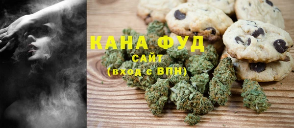 индика Горняк