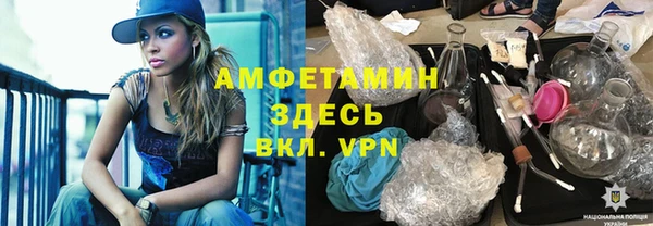индика Горняк