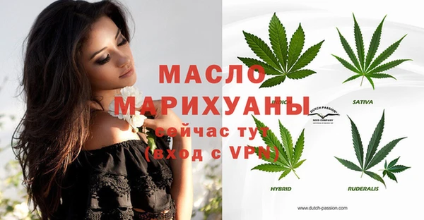 индика Горняк