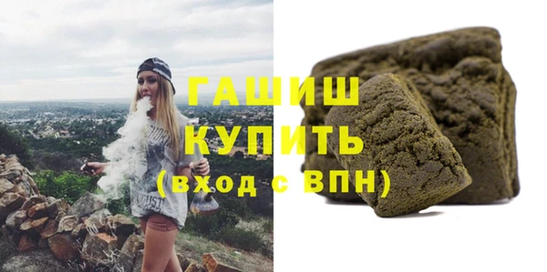 индика Горняк