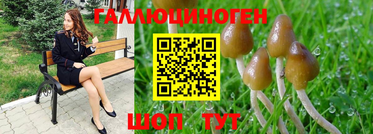 Ирбит  Псилоцибиновые грибы мухоморы  Галлюциногенные грибы MAGIC MUSHROOMS  Вход с VPN 