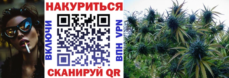 blacksprut ONION сколько стоит Ирбит Канабис сатива